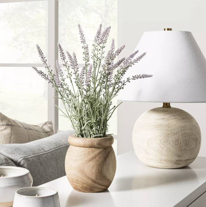 The lavender potted plant on a table
