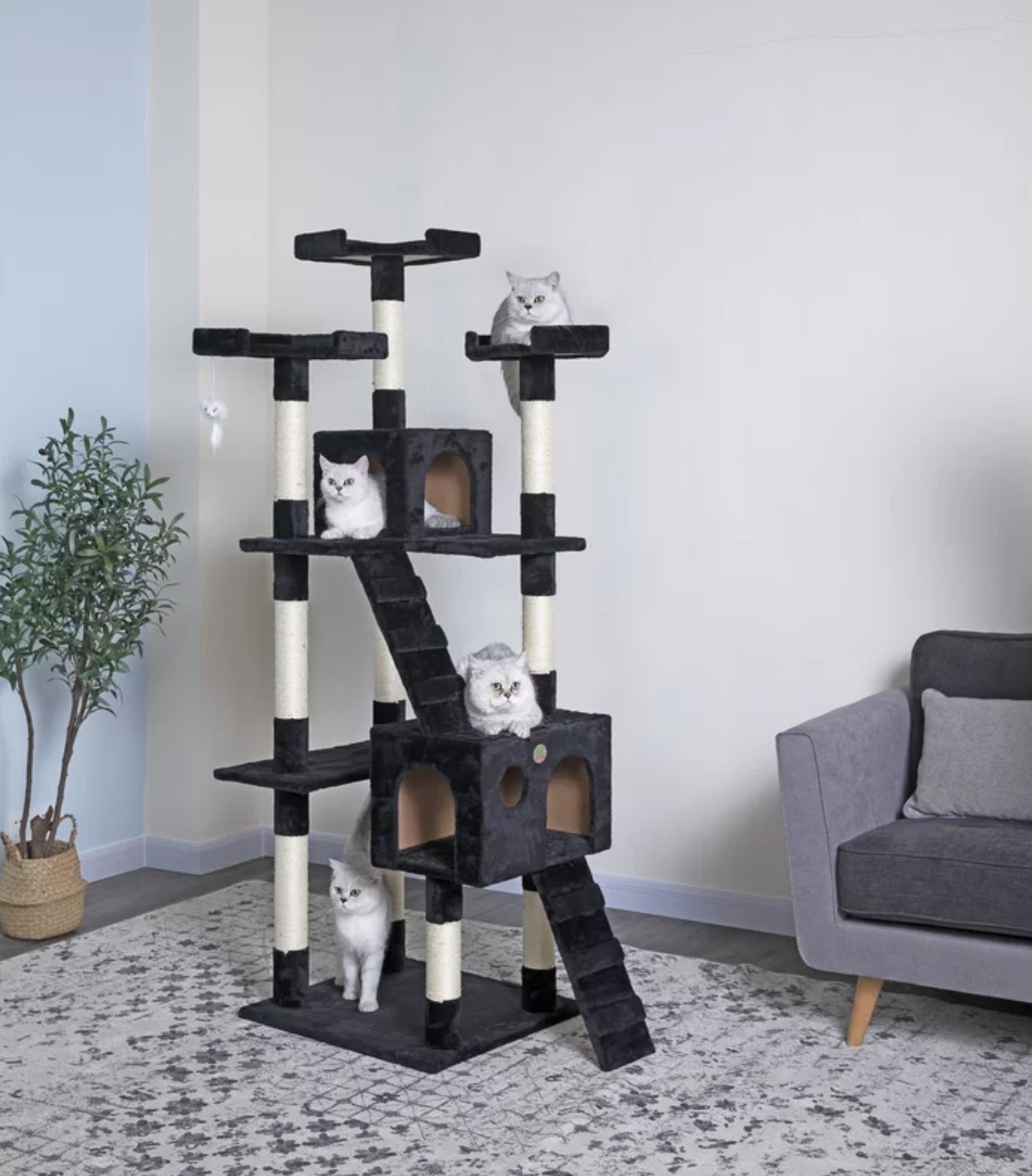 The six-foot tall cat tree in black