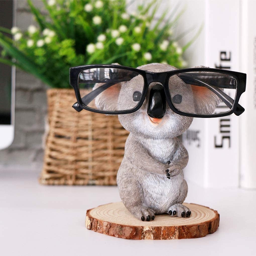 the koala wearing a pair of glasses
