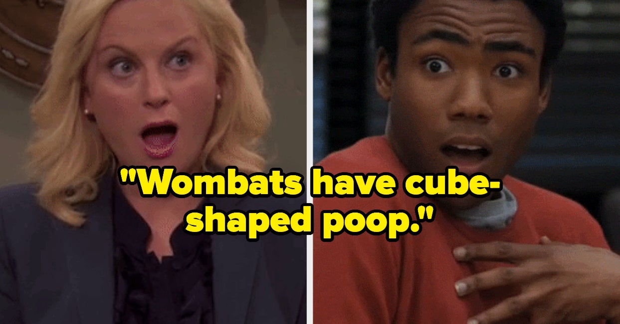 18 Fun Facts That Will Live RentFree In Your Head