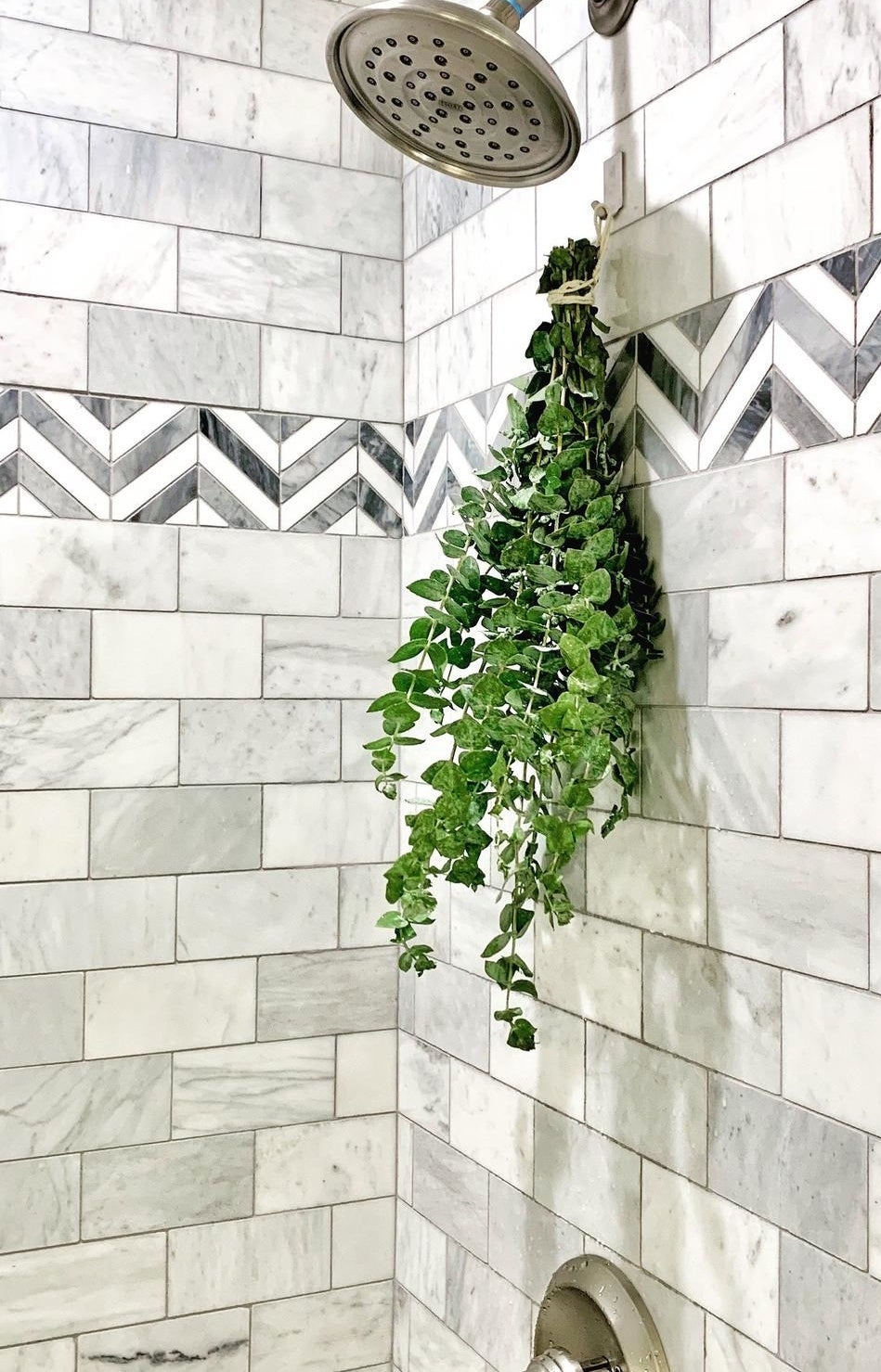 The eucalyptus bunch hanging in a shower