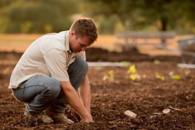 Plant Some Food In Your Garden And We'll Tell You Your Future S.O.'s Name