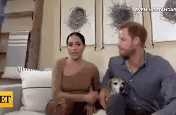 Meghan and Harry video chat in their home 