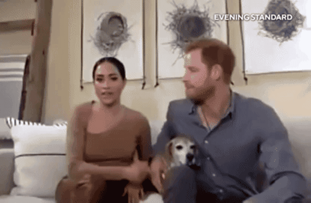 Meghan and Harry video chat in their home 