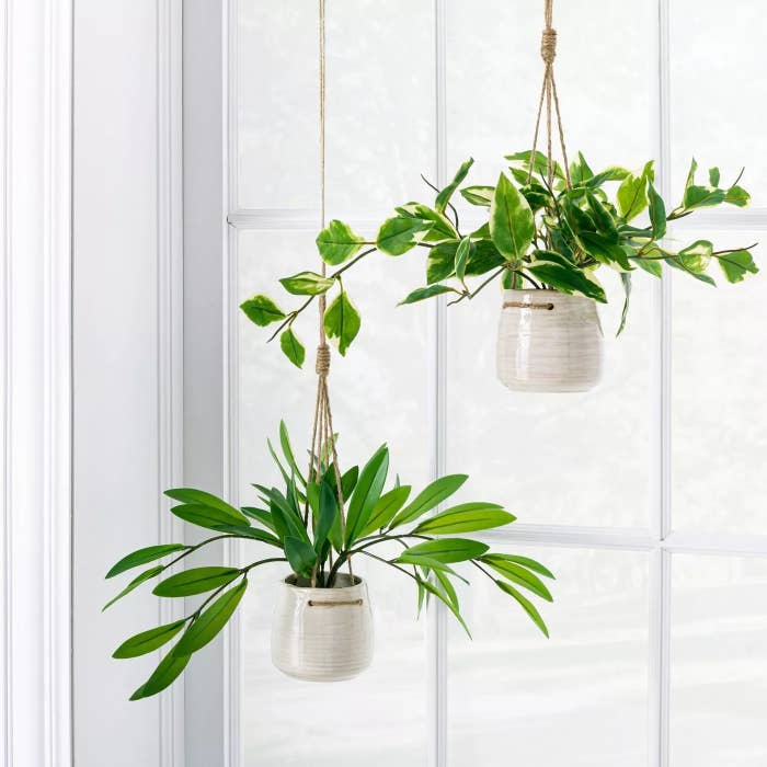 A pair of the hanging plants in ceramic pots next to a window