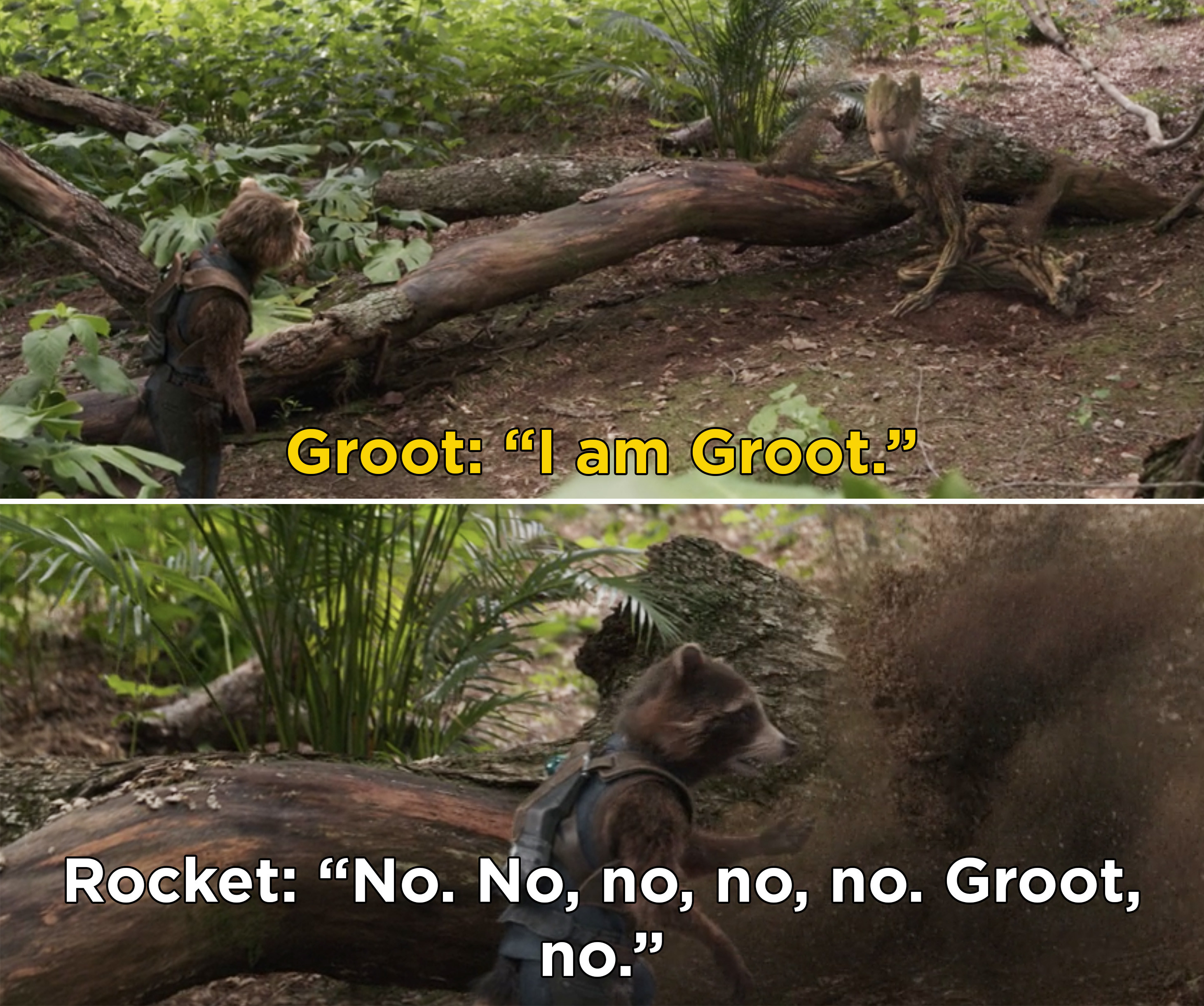 Groot saying, &quot;I am Groot&quot; before getting dusted, and Rocket pleading with Groot to stay