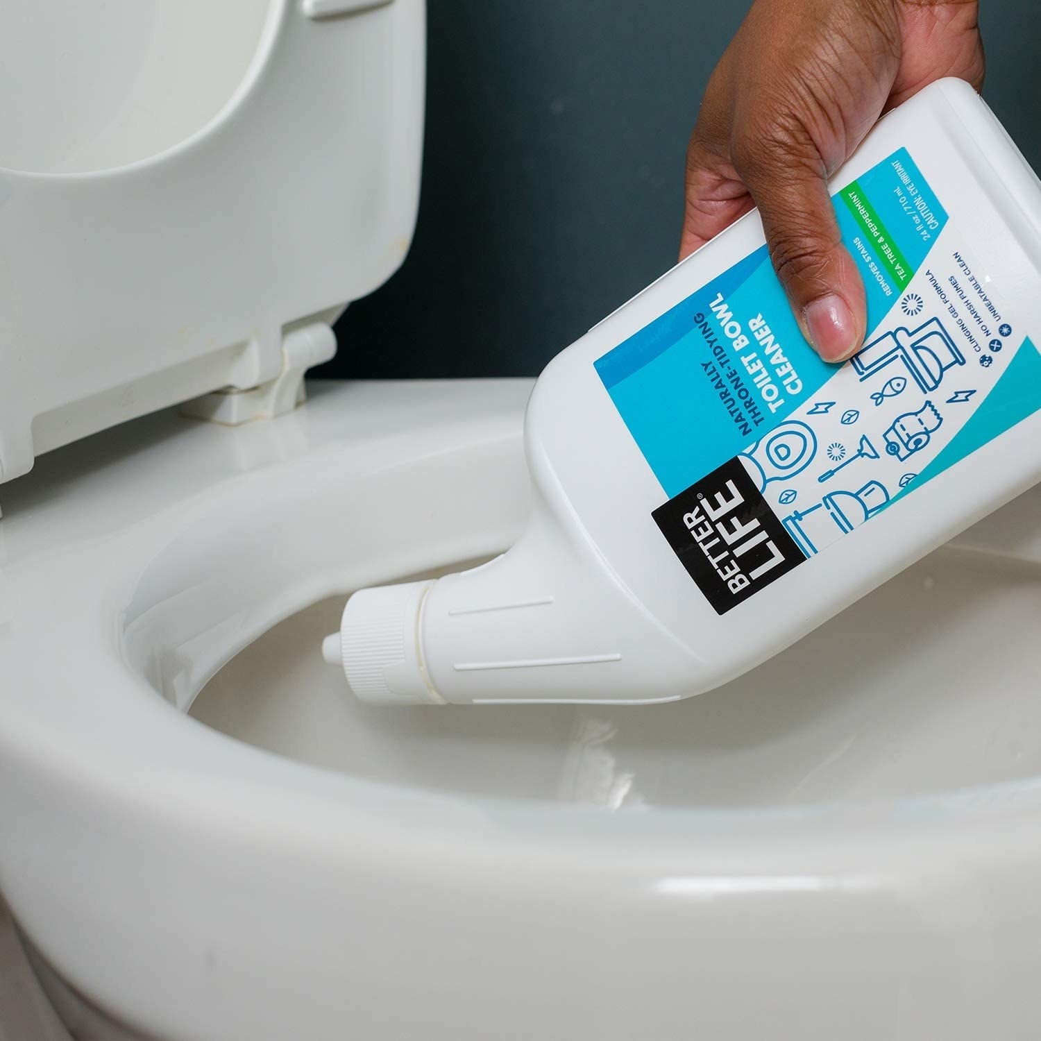 19 Best Toilet Bowl Cleaners To Buy In 2024