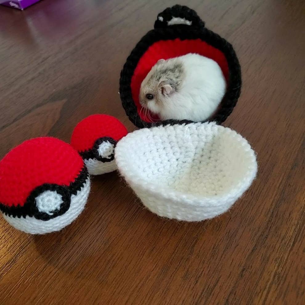 超レアなポケモン発見 モンスターボールに入っちゃったこの子が かわいすぎて尊い 超レアなポケモン発見 モンスターボールに入っちゃったこの子が かわいすぎて尊い