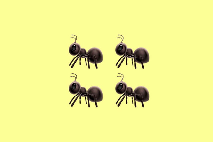 Four individual ant emojis