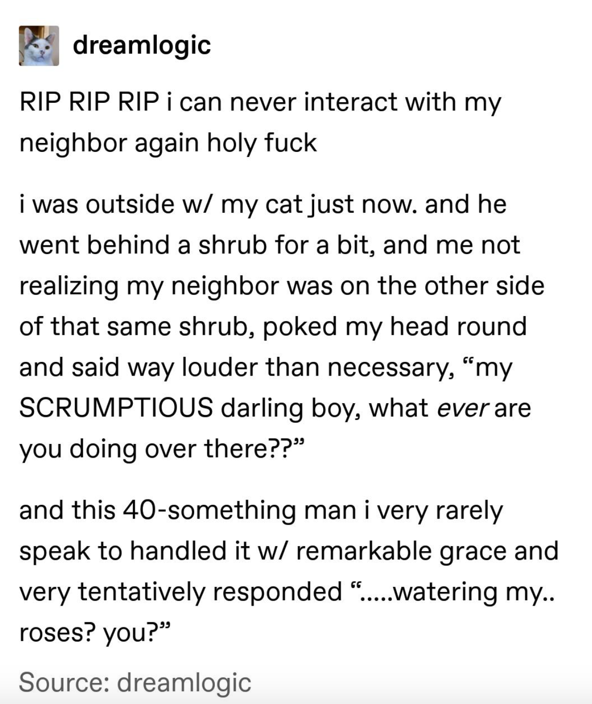 tumblr post about someone calling their at a scruptious boy not realizing some random person thought they were talking to them