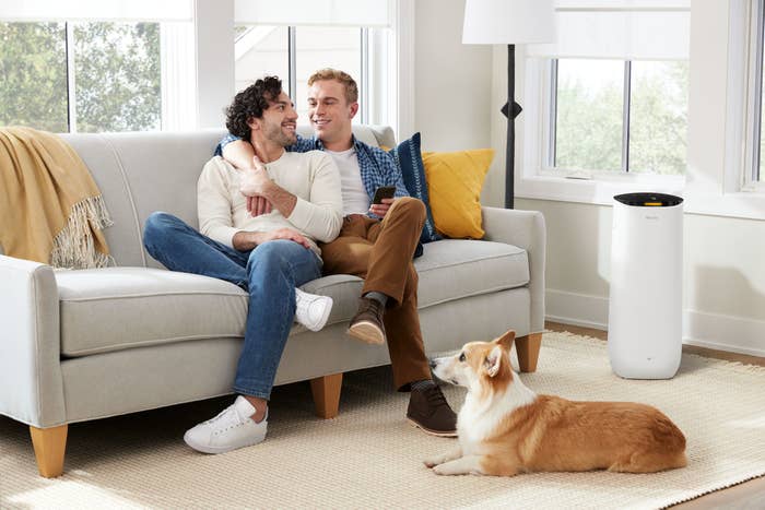 Couple sitting on couch with dog on floor next to white air purifier