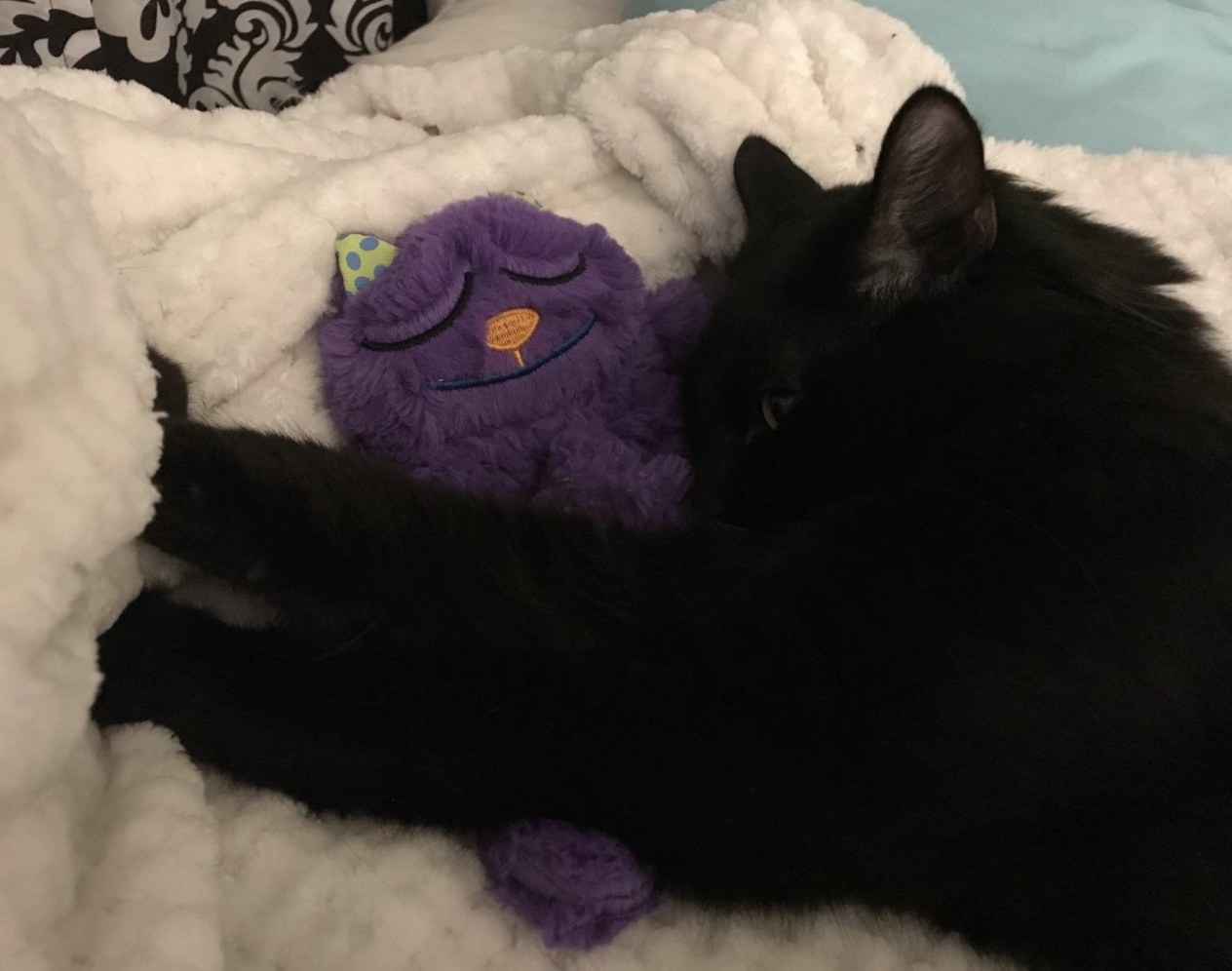 A cat cuddling a toy