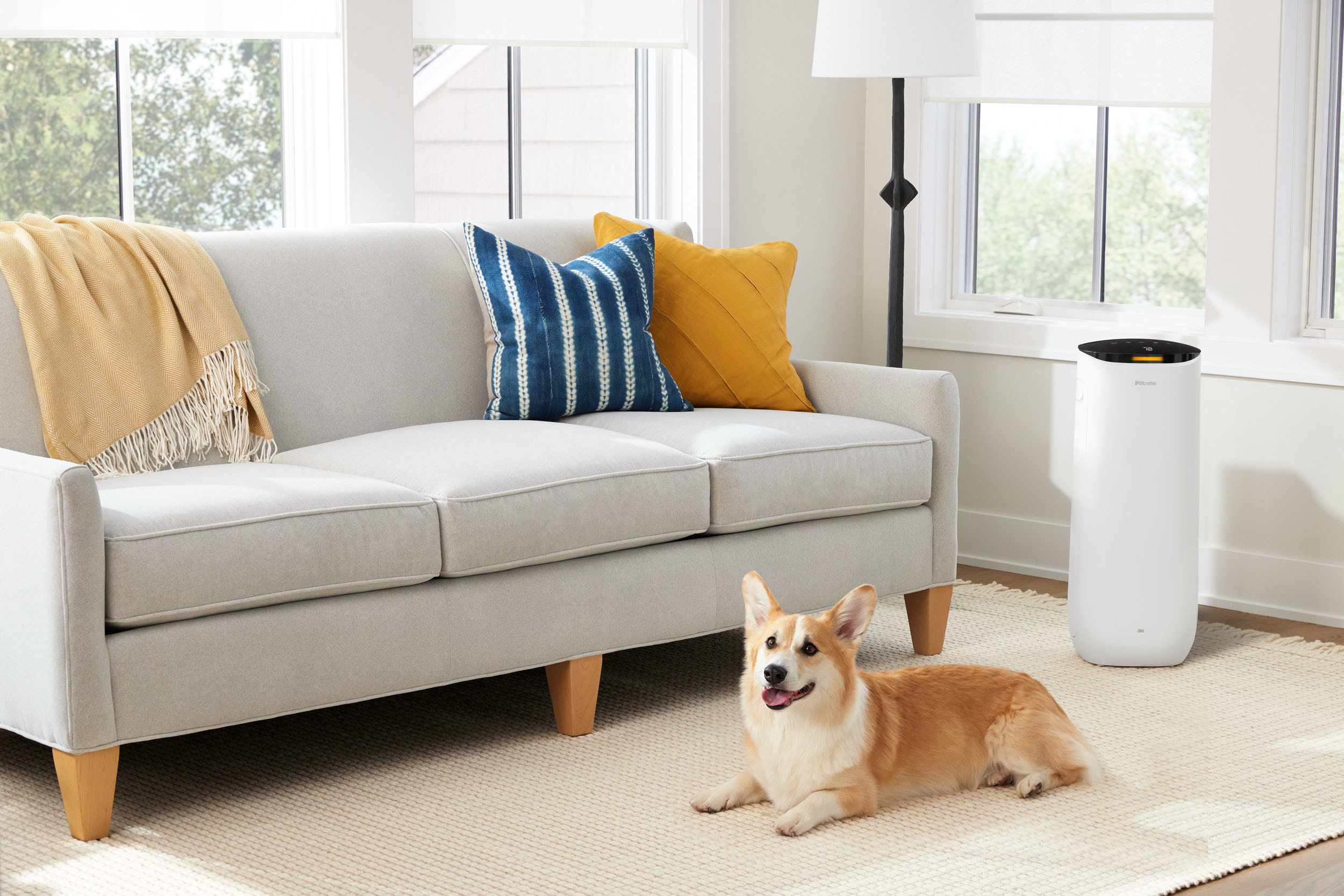 Corgi sitting next to couch and white tower air purifer
