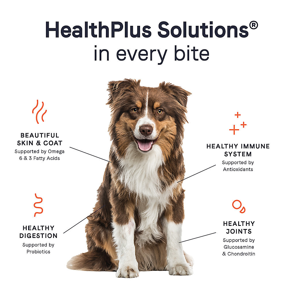 An infographic of a dog and bullet points that read &quot;Beautiful skin and coat&quot;, &quot;Healthy Immune System&quot;, &quot;Healthy Digestion&quot;, and &quot;Healthy Joints&quot; 