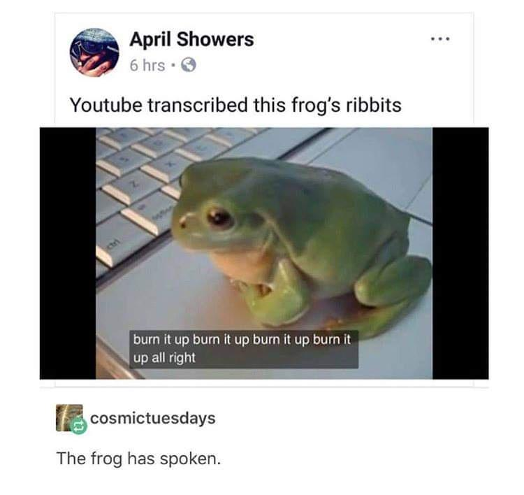 Toad TV Toadily Entertaining on Tumblr