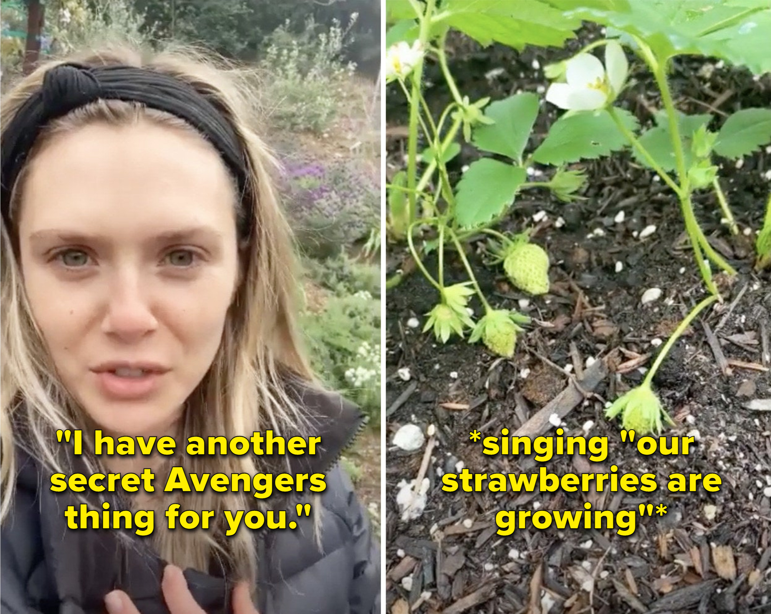 Elizabeth saying, &quot;I have another secret Avengers thing for you&quot; and then singing, &quot;Our strawberries are growing&quot;
