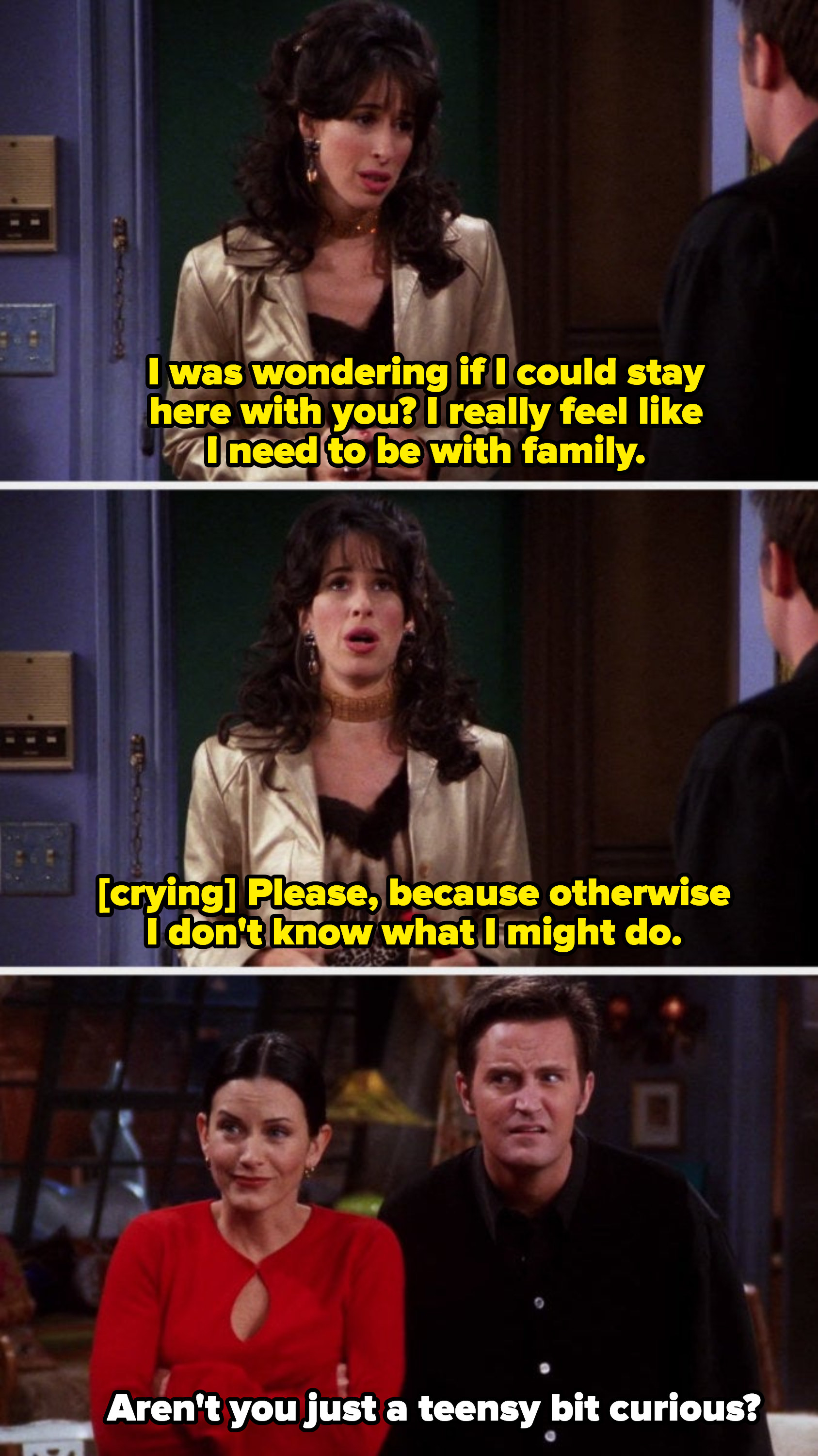 Janice begging Monica and Chandler: &quot;Please, because otherwise I don&#x27;t know what I might do&quot; and Chandler responding with: &quot;Aren&#x27;t you just a teensy bit curious?&quot;