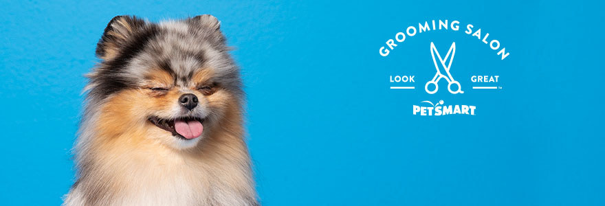 A dog with its eyes closed and a PetSmart logo that says &quot;Grooming salon, look great&quot;