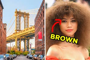 On the left, the Brooklyn Bridge on a sunny day, and on the right, Zendaya with an arrow pointing to her eye and "brown" typed next to it