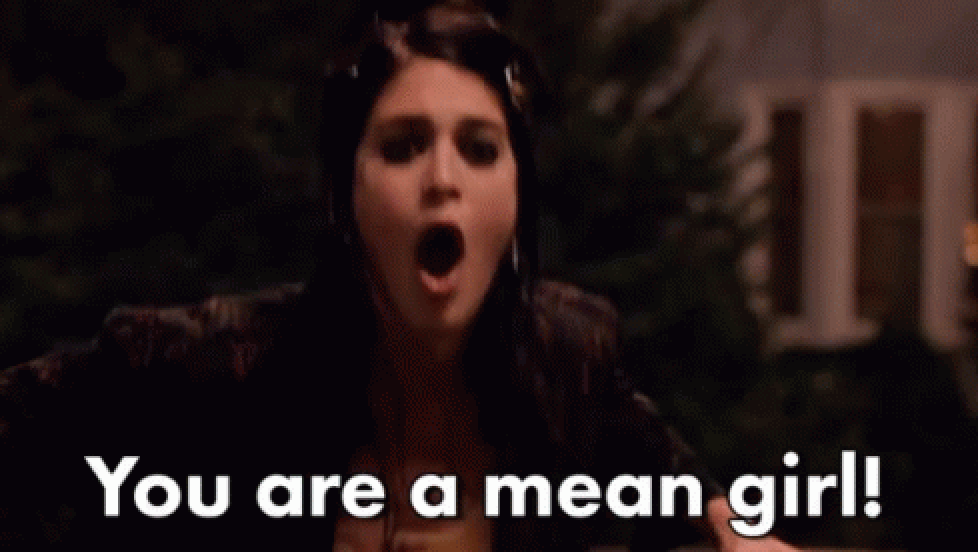 Janice saying, &quot;You are a mean girl&quot; in Mean Girls