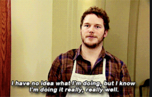 Andy saying, &quot;I have no idea what I&#x27;m doing, but I know I&#x27;m doing it really, really well&quot; on Parks and Recreation