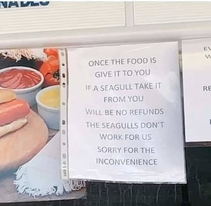 sign about seagulls stealing food and that there &quot;will be no refunds the seagulls don&#x27;t work for us sorry for the inconvenience&quot;
