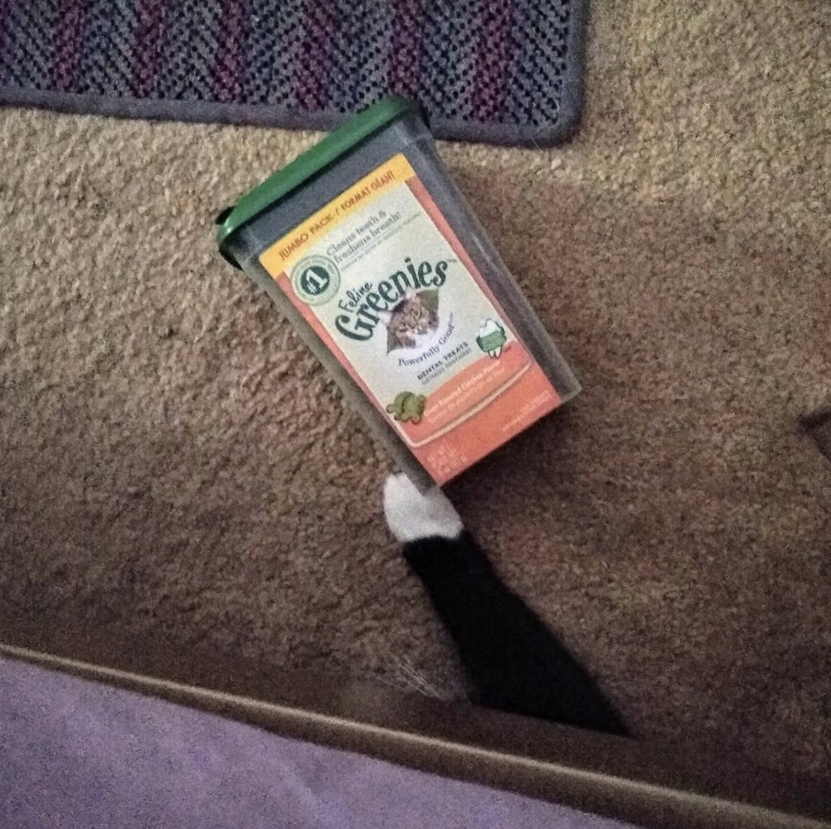 a cat&#x27;s paw grabbing the box of greenies treats