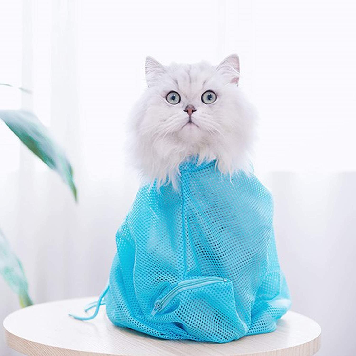 a long hair cat inside of a turquoise mesh shower bag