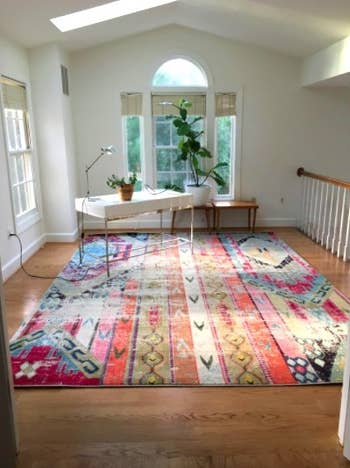 reviewer's sparse office with a large colorful rug placed in it