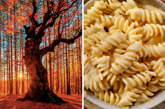 This Image Quiz Will Reveal If You're Penne, Spaghetti, Or Fusilli Pasta