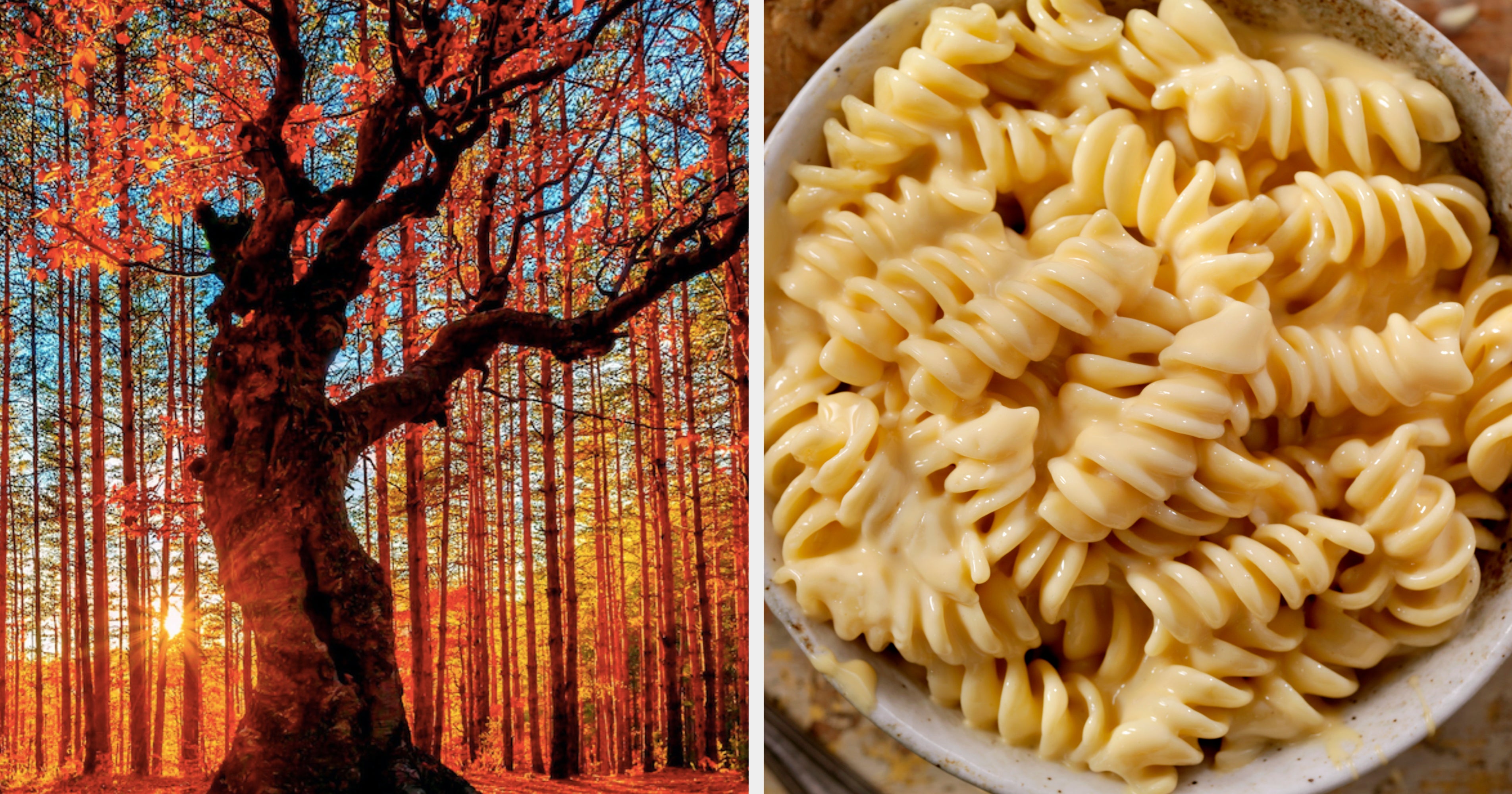 This Image Quiz Will Reveal If You're Penne, Spaghetti, Or Fusilli Pasta