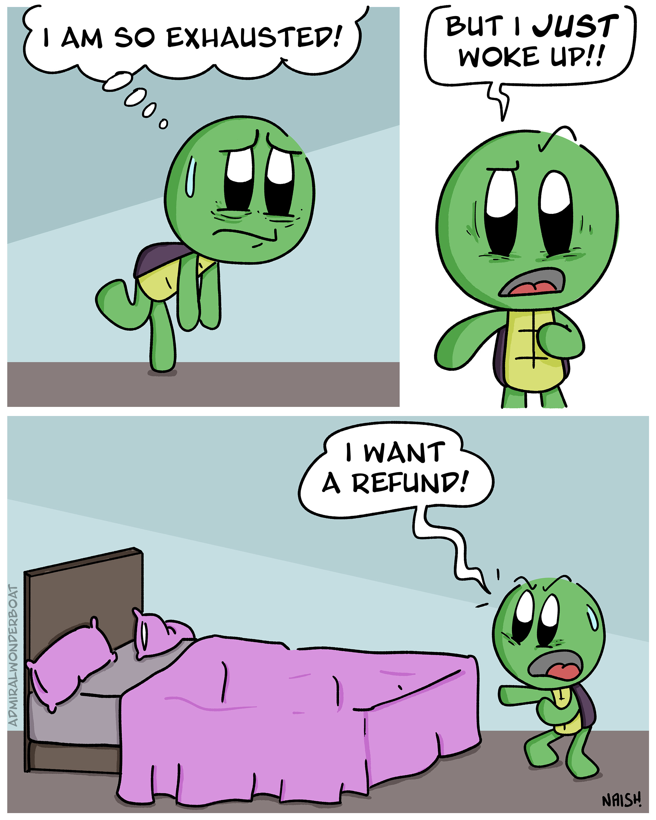 A cartoon turtle waking up tired and then angrily asking their bed for a refund