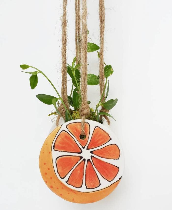 A grapefruit-shaped planter suspended by rustic rope 