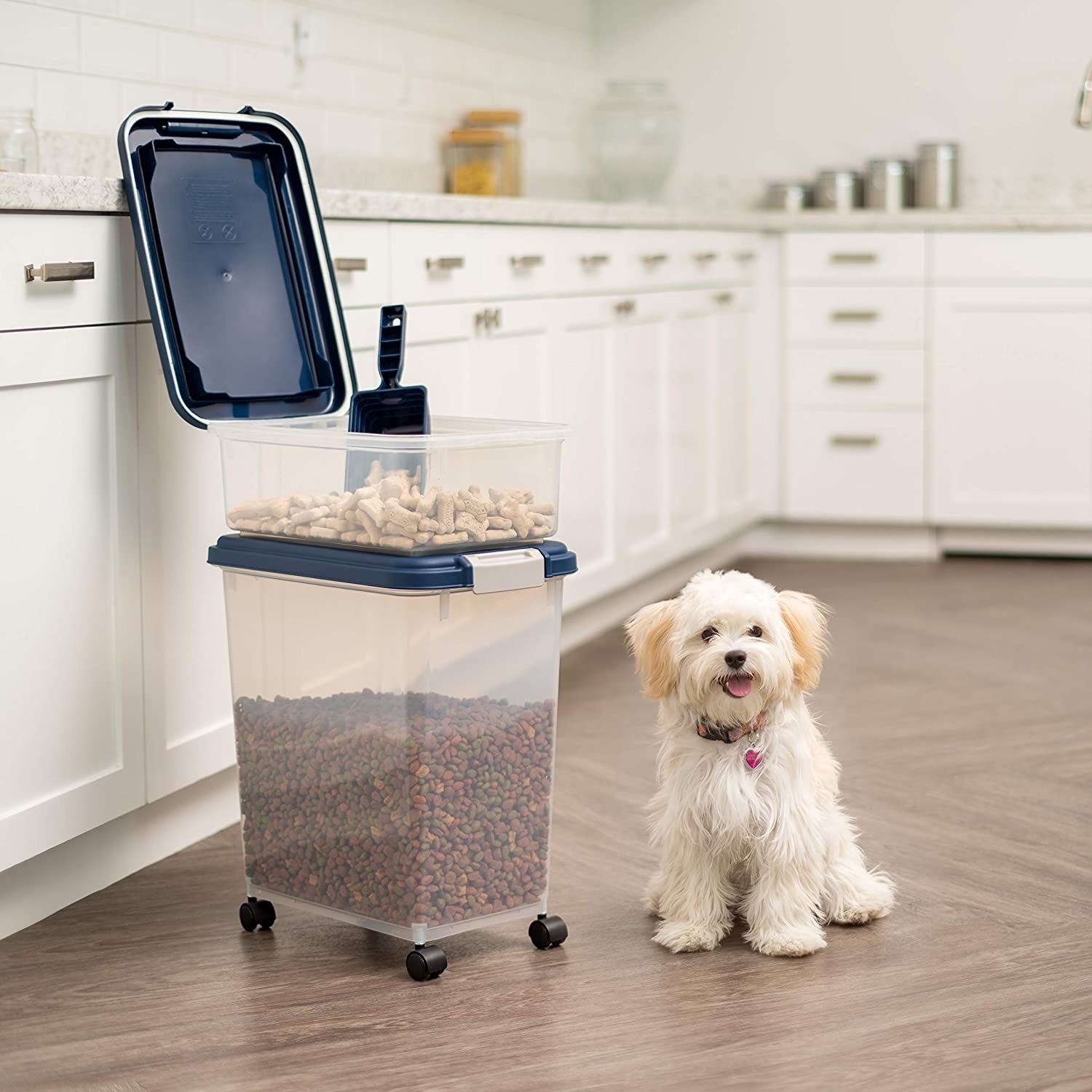 a dog sitting next to the food storage container 