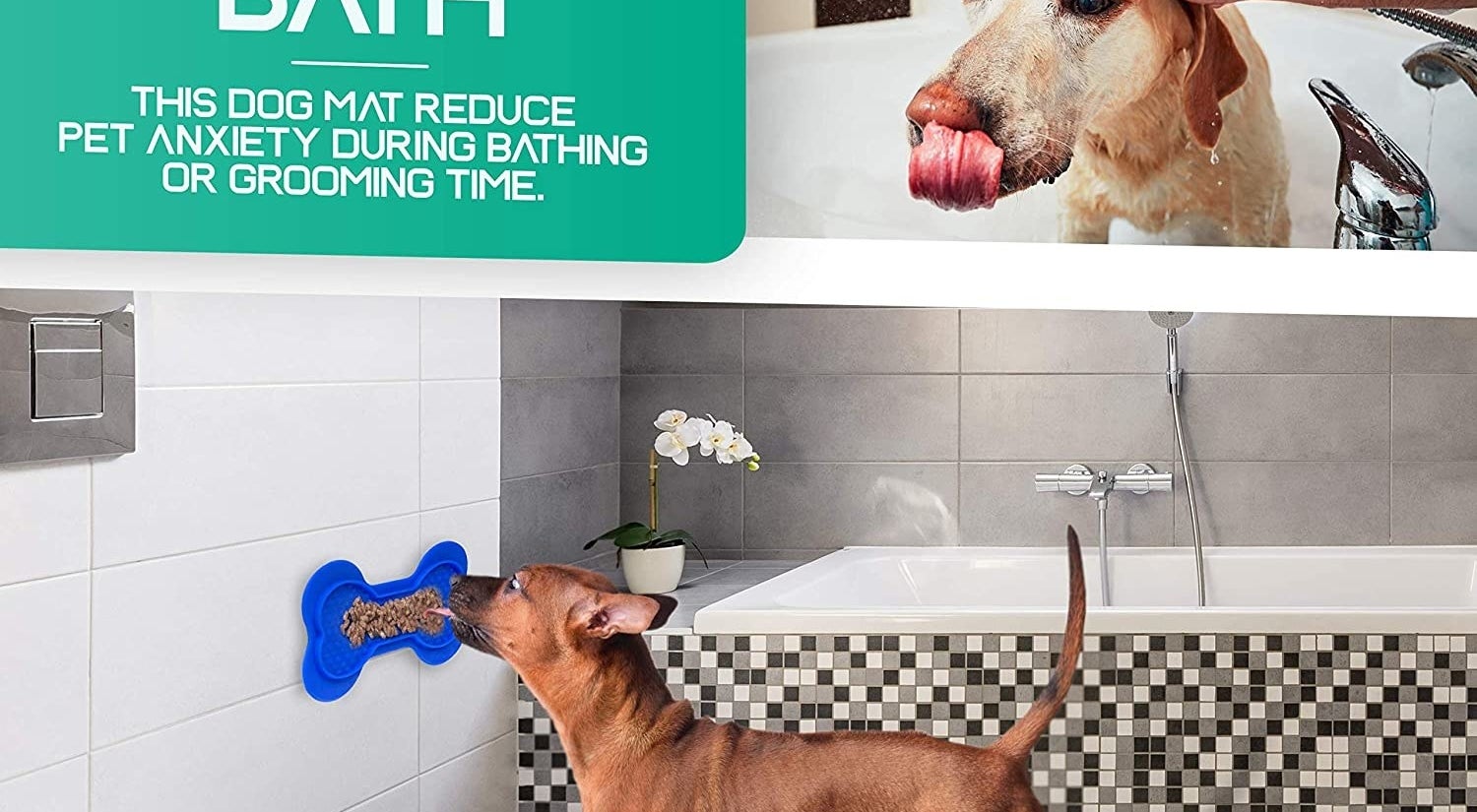 Dog licking bone-shaped pad
