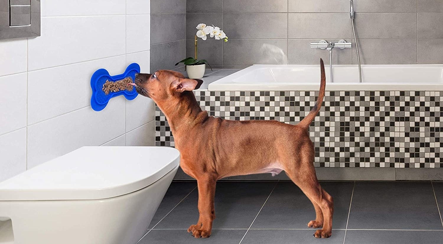 a dog using the pad in the bath and bathroom