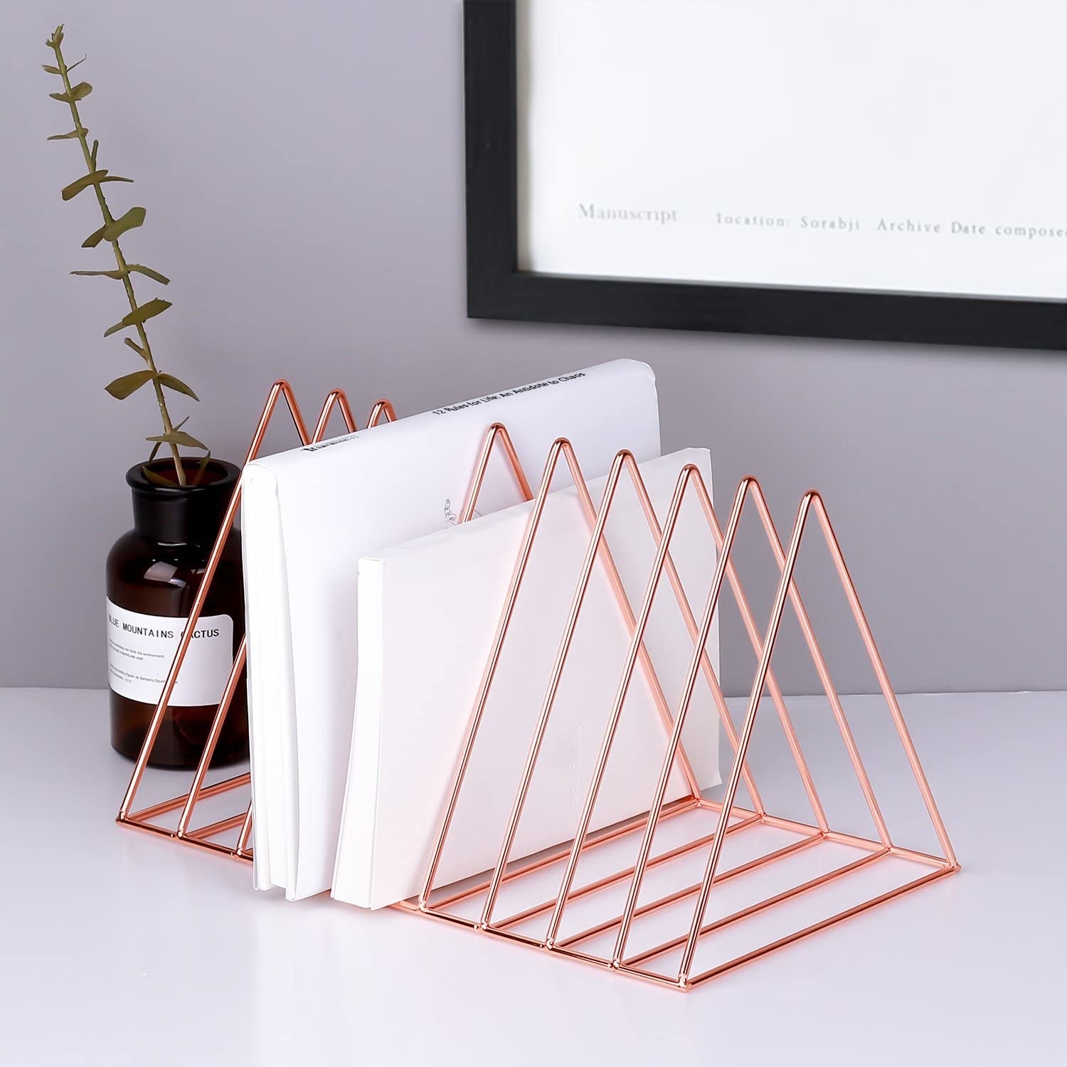 A metallic and triangular book rack with nine slots