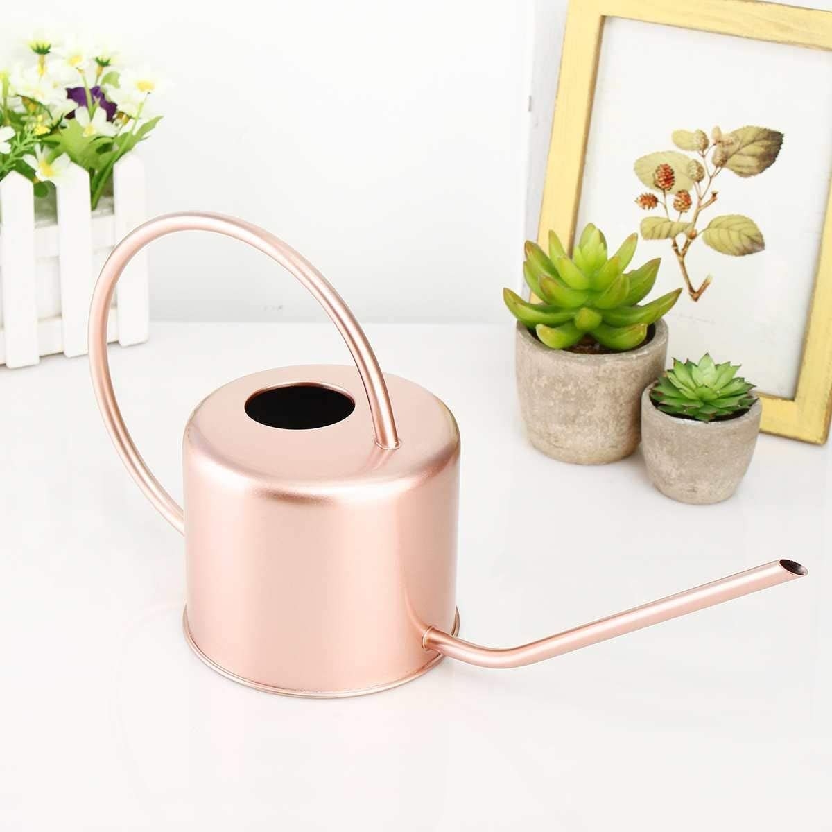 A metallic watering can with an extra long spout