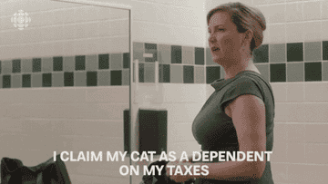 Character saying, &quot;I claim my cat as a dependent on my taxes&quot;