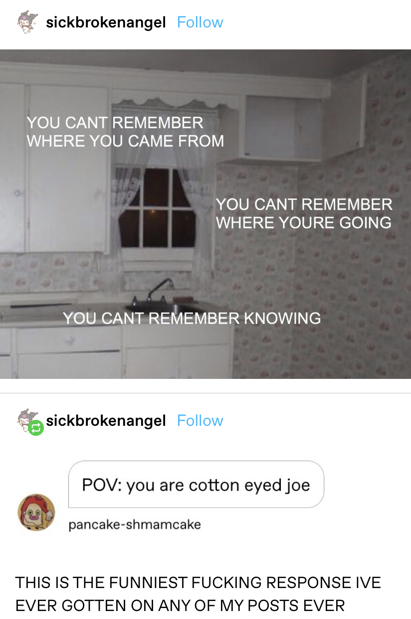 strange creepy kitchen with phrases like &quot;You can&#x27;t remember where you came from/are going, you can&#x27;t remember knowing&quot; and someone replies &quot;POV: you are cotton eyed joe&quot;