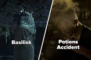 "Harry Potter" Basilisk and potions accident
