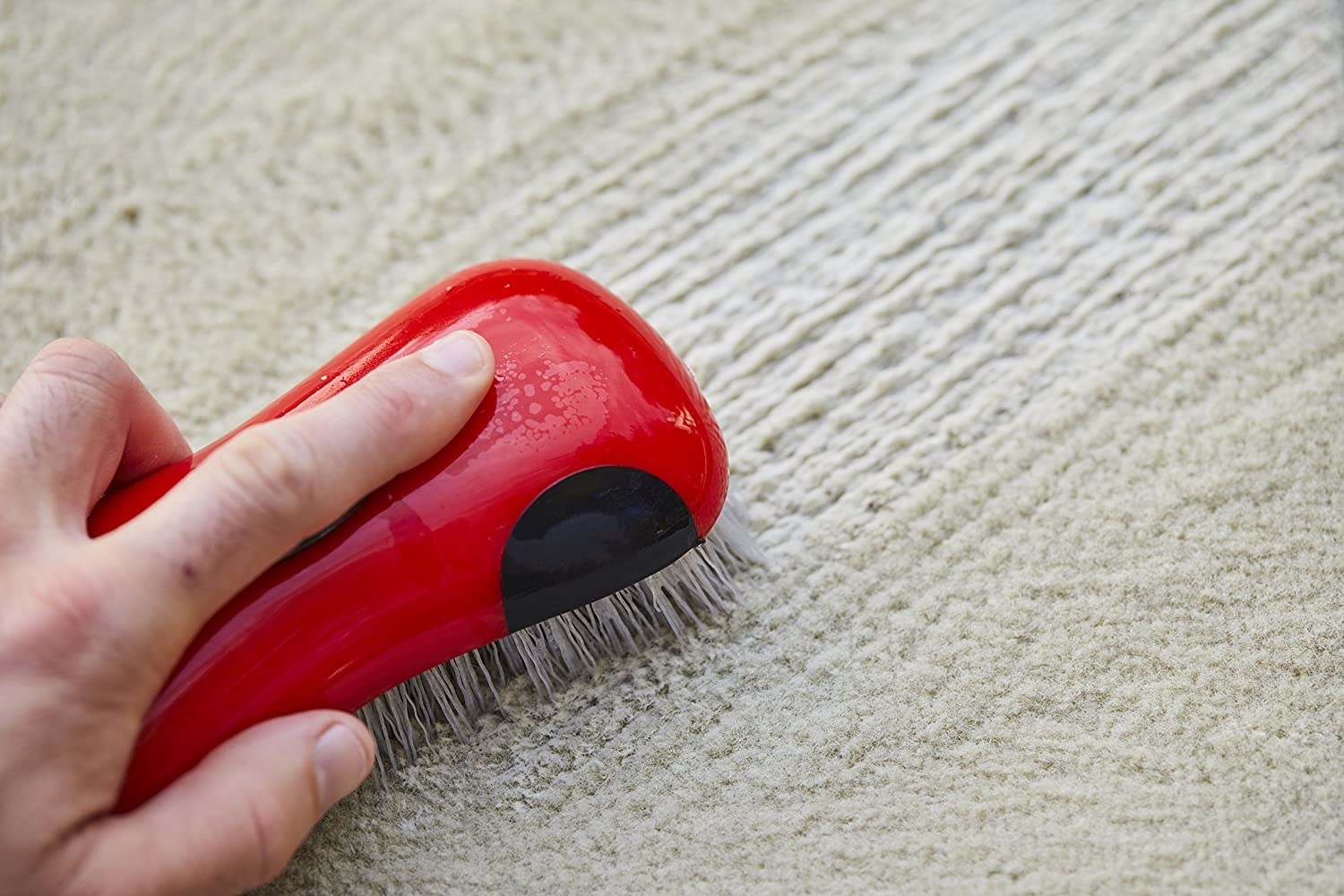 person brushing a carpet with the brush