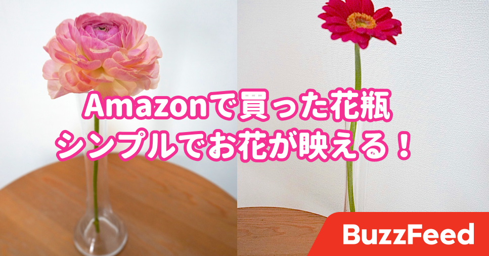 部屋が明るくなった お花をめっちゃ可愛く飾れる花瓶を見つけました 部屋が明るくなった お花をめっちゃ可愛く飾れる花瓶を見つけました