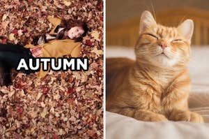 On the left, Vanessa Bayer lying in a pile of leaves in an 