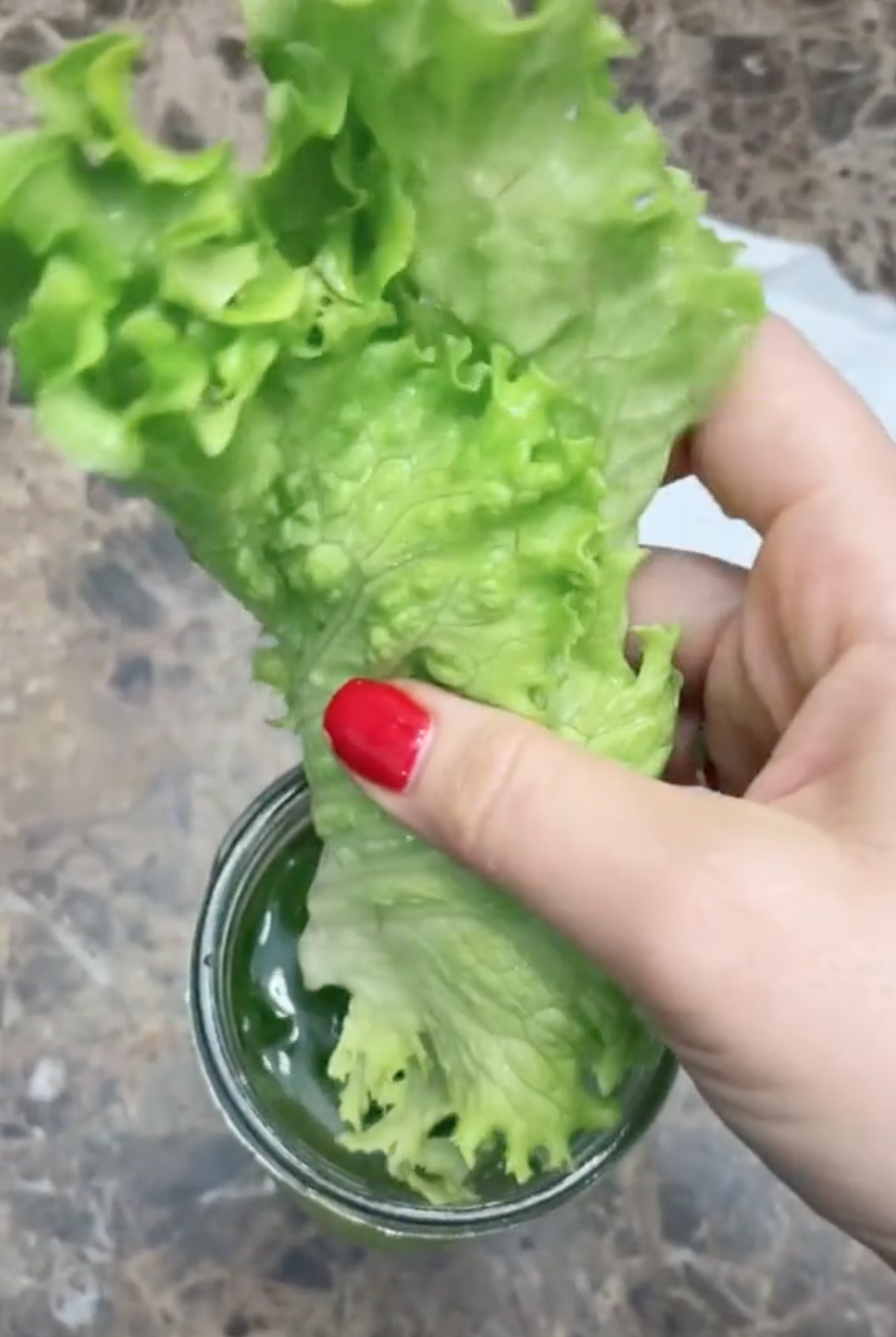 The lettuce leaf, a month later, still looking bright green and fresh