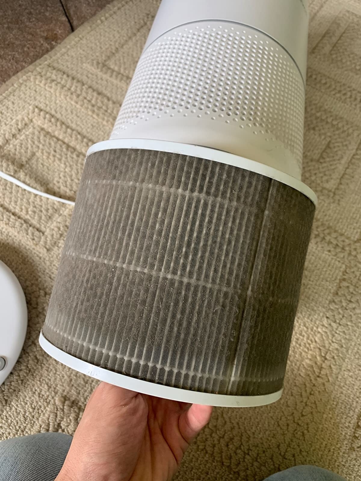 A reviewer demonstrates how much stuff the air purified from the air by showing how dirty the filter is