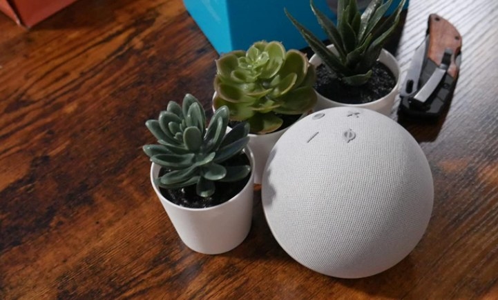Amazon&#x27;s Echo Dot sitting on a table next to three succulents