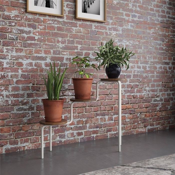 three-tiered plant stand with wood shelves and white frame
