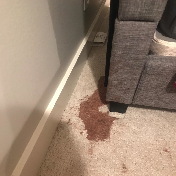 Cream carpet with large and dark brown chocolate milk stain on it