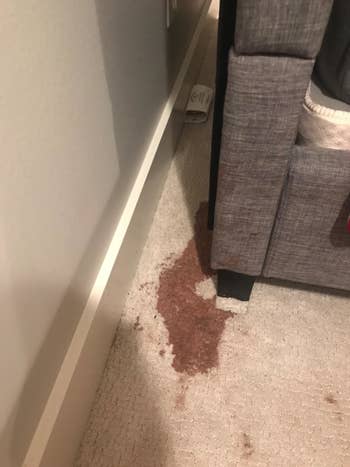 reviewer's cream carpet with large and dark brown chocolate milk stain on it